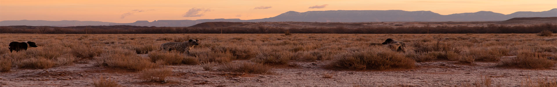 Navajo Nation Sunrise